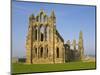 Ruins of Whitby Abbey in North Yorkshire-Paul Thompson-Mounted Photographic Print