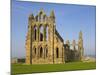 Ruins of Whitby Abbey in North Yorkshire-Paul Thompson-Mounted Photographic Print