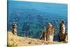 Ruins Underwater of Roman Houses, Les Aiguilles, Tabarka, Tunisia, North Africa-Nico Tondini-Stretched Canvas