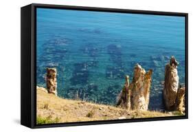 Ruins Underwater of Roman Houses, Les Aiguilles, Tabarka, Tunisia, North Africa-Nico Tondini-Framed Stretched Canvas