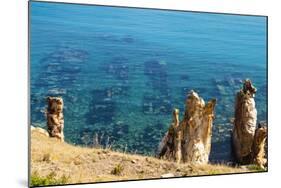 Ruins Underwater of Roman Houses, Les Aiguilles, Tabarka, Tunisia, North Africa-Nico Tondini-Mounted Photographic Print