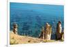 Ruins Underwater of Roman Houses, Les Aiguilles, Tabarka, Tunisia, North Africa-Nico Tondini-Framed Photographic Print