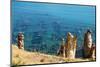 Ruins Underwater of Roman Houses, Les Aiguilles, Tabarka, Tunisia, North Africa-Nico Tondini-Mounted Photographic Print