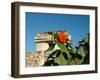 Ruins with Orange Flowers, Tulum, Mexico-Lisa S. Engelbrecht-Framed Photographic Print