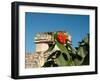 Ruins with Orange Flowers, Tulum, Mexico-Lisa S. Engelbrecht-Framed Photographic Print