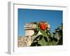 Ruins with Orange Flowers, Tulum, Mexico-Lisa S. Engelbrecht-Framed Photographic Print