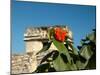 Ruins with Orange Flowers, Tulum, Mexico-Lisa S. Engelbrecht-Mounted Photographic Print