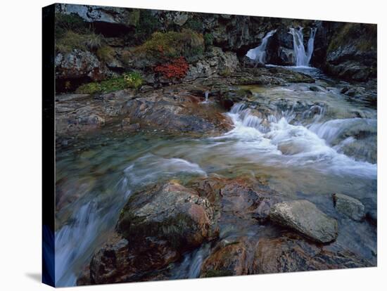 Ruisseau Du Cot (Stream) Near Cirque De Troumouse, Pyrenees, France, October 2008-Popp-Hackner-Stretched Canvas