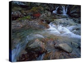 Ruisseau Du Cot (Stream) Near Cirque De Troumouse, Pyrenees, France, October 2008-Popp-Hackner-Stretched Canvas