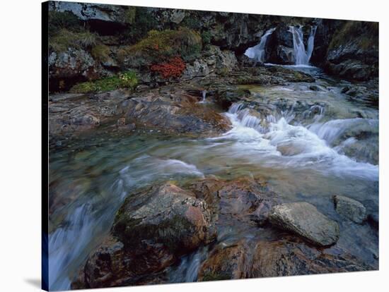 Ruisseau Du Cot (Stream) Near Cirque De Troumouse, Pyrenees, France, October 2008-Popp-Hackner-Stretched Canvas