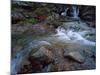 Ruisseau Du Cot (Stream) Near Cirque De Troumouse, Pyrenees, France, October 2008-Popp-Hackner-Mounted Photographic Print