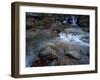 Ruisseau Du Cot (Stream) Near Cirque De Troumouse, Pyrenees, France, October 2008-Popp-Hackner-Framed Photographic Print