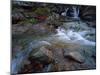 Ruisseau Du Cot (Stream) Near Cirque De Troumouse, Pyrenees, France, October 2008-Popp-Hackner-Mounted Photographic Print