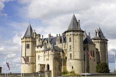 Castle of Saumur in Loire Valley, France-ruivalesousa-Photographic Print