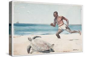Rum Cay (W/C over Graphite on Paper)-Winslow Homer-Stretched Canvas