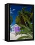 Rum Point, Grand Cayman, Cayman Islands, Caribbean Sea, West Indies-Ruth Tomlinson-Framed Stretched Canvas