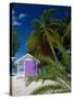 Rum Point, Grand Cayman, Cayman Islands, Caribbean Sea, West Indies-Ruth Tomlinson-Stretched Canvas