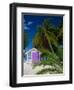 Rum Point, Grand Cayman, Cayman Islands, Caribbean Sea, West Indies-Ruth Tomlinson-Framed Photographic Print