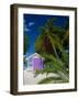 Rum Point, Grand Cayman, Cayman Islands, Caribbean Sea, West Indies-Ruth Tomlinson-Framed Photographic Print