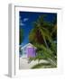 Rum Point, Grand Cayman, Cayman Islands, Caribbean Sea, West Indies-Ruth Tomlinson-Framed Photographic Print