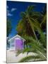 Rum Point, Grand Cayman, Cayman Islands, Caribbean Sea, West Indies-Ruth Tomlinson-Mounted Photographic Print