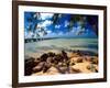 Rum Point Jetty, Cayman Islands-George Oze-Framed Photographic Print