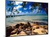 Rum Point Jetty, Cayman Islands-George Oze-Mounted Photographic Print