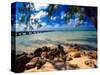 Rum Point Jetty, Cayman Islands-George Oze-Stretched Canvas