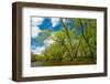 Rum River, Spring-Steven Gaertner-Framed Photographic Print