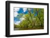 Rum River, Spring-Steven Gaertner-Framed Photographic Print