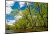 Rum River, Spring-Steven Gaertner-Mounted Photographic Print