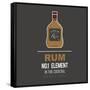 Rum-mip1980-Framed Stretched Canvas