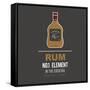 Rum-mip1980-Framed Stretched Canvas