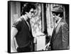 RUMBLE FISH, 1983 directed by FRANCIS FORD COPPOLA Matt Dillon and Dennis Hopper (b/w photo)-null-Framed Stretched Canvas