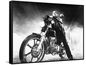 RUMBLE FISH, 1983 directed by FRANCIS FORD COPPOLA Mickey Rourke (b/w photo)-null-Framed Stretched Canvas