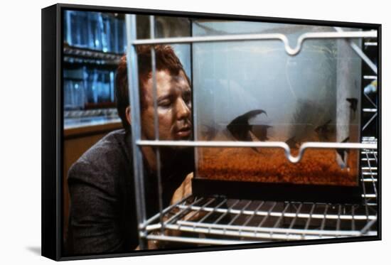 RUMBLE FISH, 1983 directed by FRANCIS FORD COPPOLA Mickey Rourke (photo)-null-Framed Stretched Canvas