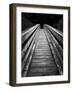 Rumbo 1-Moises Levy-Framed Photographic Print