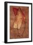 Rumex-Den Reader-Framed Photographic Print