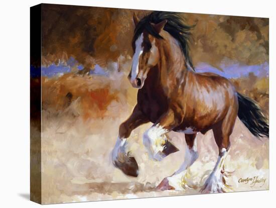 Rumi's Run-Carolyne Hawley-Stretched Canvas