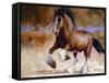 Rumi's Run-Carolyne Hawley-Framed Stretched Canvas