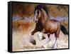 Rumi's Run-Carolyne Hawley-Framed Stretched Canvas