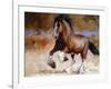 Rumi's Run-Carolyne Hawley-Framed Art Print