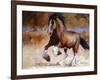 Rumi's Run-Carolyne Hawley-Framed Art Print