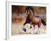 Rumi's Run-Carolyne Hawley-Framed Art Print