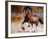 Rumi's Run-Carolyne Hawley-Framed Art Print