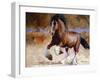 Rumi's Run-Carolyne Hawley-Framed Art Print