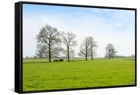 Ruminating Cows Lying Together under the Trees-Ruud Morijn-Framed Stretched Canvas