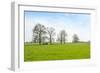 Ruminating Cows Lying Together under the Trees-Ruud Morijn-Framed Photographic Print