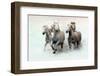 Run and Splash-Merrie Asimow-Framed Photographic Print