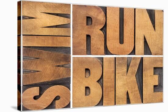 Run, Bike, Swim-PixelsAway-Stretched Canvas